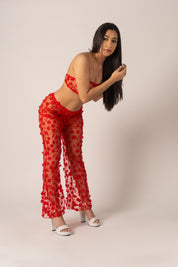 Red Butterfly Set