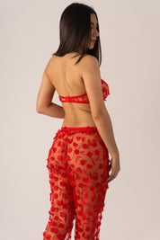 Red Butterfly Set