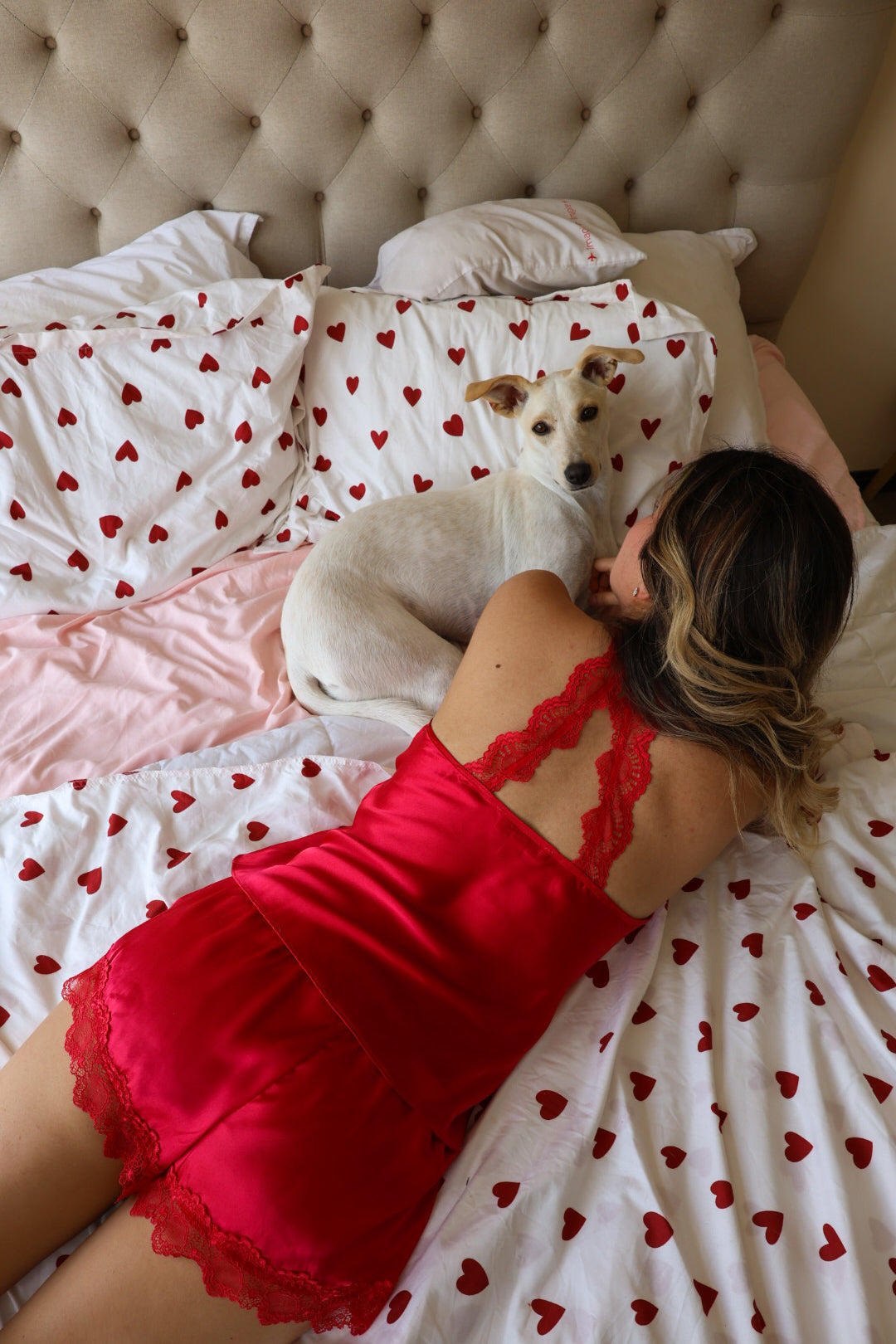 Set short Scarlet Lace